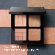 アイスカルプト