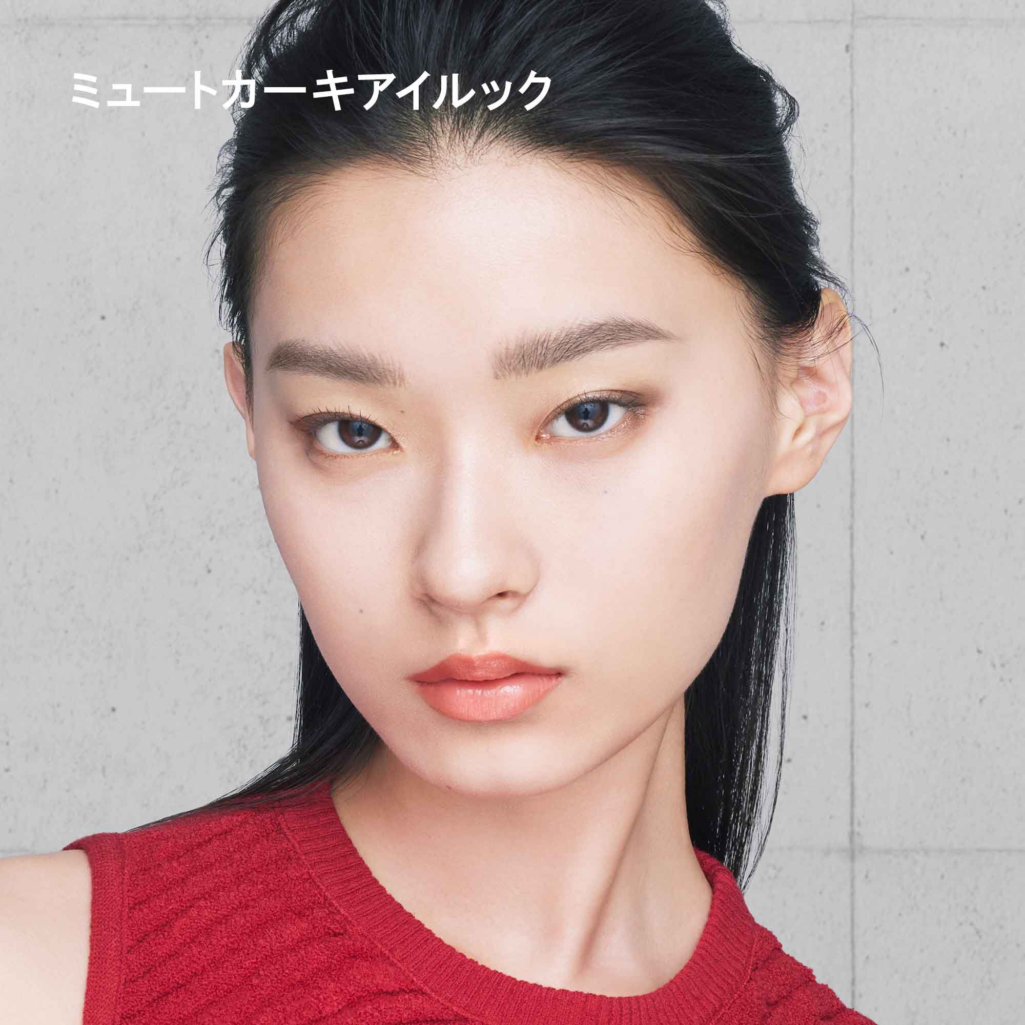 アイスカルプト