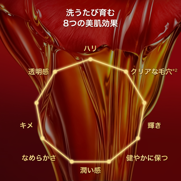 ナノミセル テクノロジー