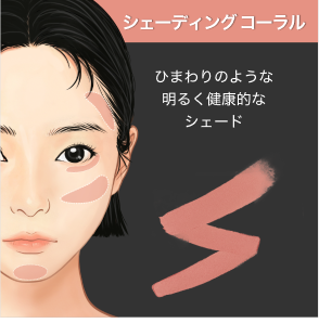シェーディング コーラル
